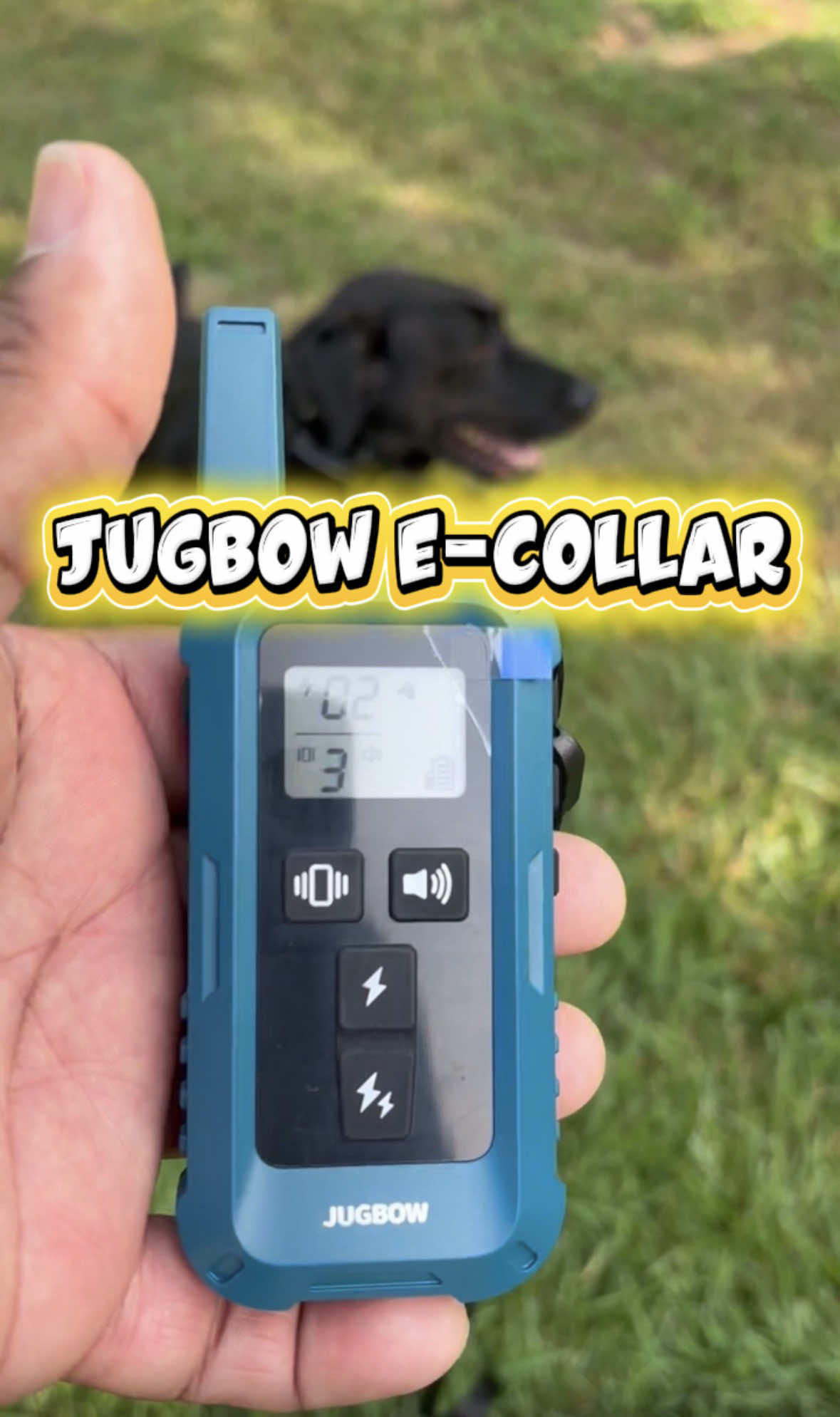 TikTok post by @adampembrook for Jugbow. Caption reads: Dog Training E-Collar @Jugbow US.