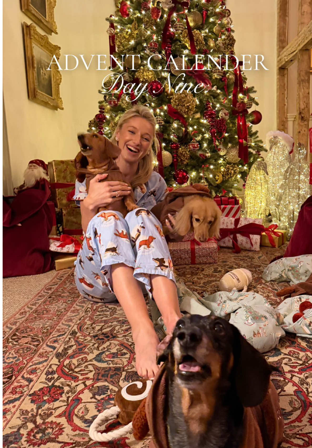 TikTok post by @leonorasmee for Cocopup London. Caption reads: Day Nine of my Surprise Advent Calendar 🎄✨  Mark....