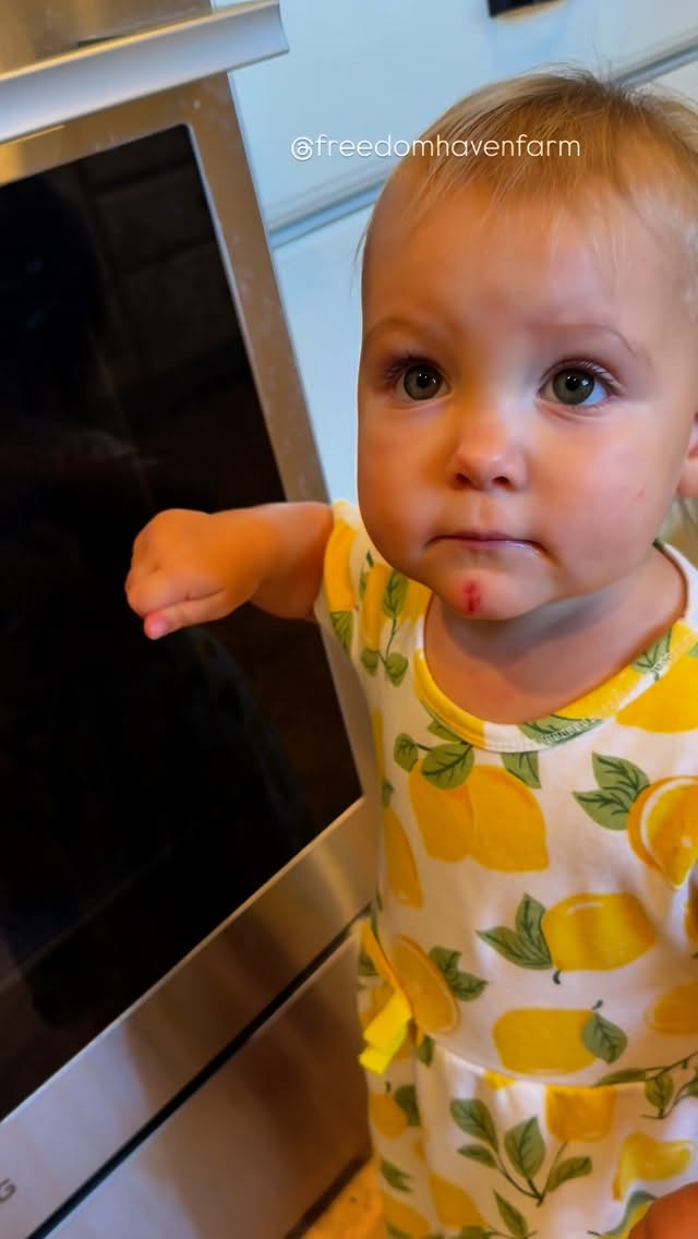 Instagram post by @freedomhavenfarm for LG USA. Caption reads: @lgusa I would like to speak to your....