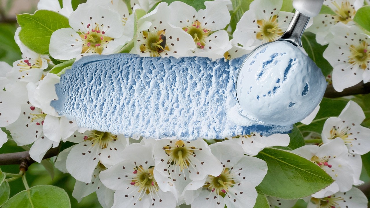 YouTube post by @Justinthetrees for Huckberry. Caption reads: A tree that smells so terrible, I just HAD to turn....