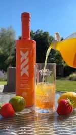 Instagram post by @twogreedygirls for XIX Vodka. Caption reads: @xixvodka collaboration with @gumball3000 🍊⚡️....