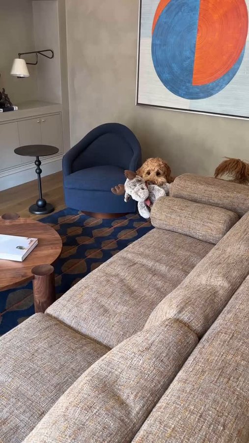 Instagram post by @heythereney for Primal Pet Foods. Caption reads: [...] so glad we switched Bama’s food to....