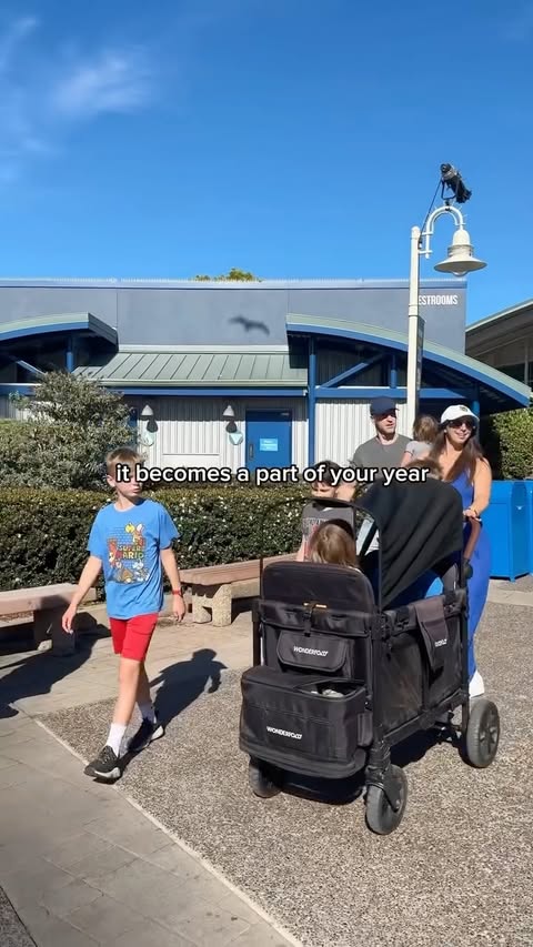 Instagram post by @hortonlane_ for SeaWorld. Caption reads: [...] this kind of access all year. 🌊 The....