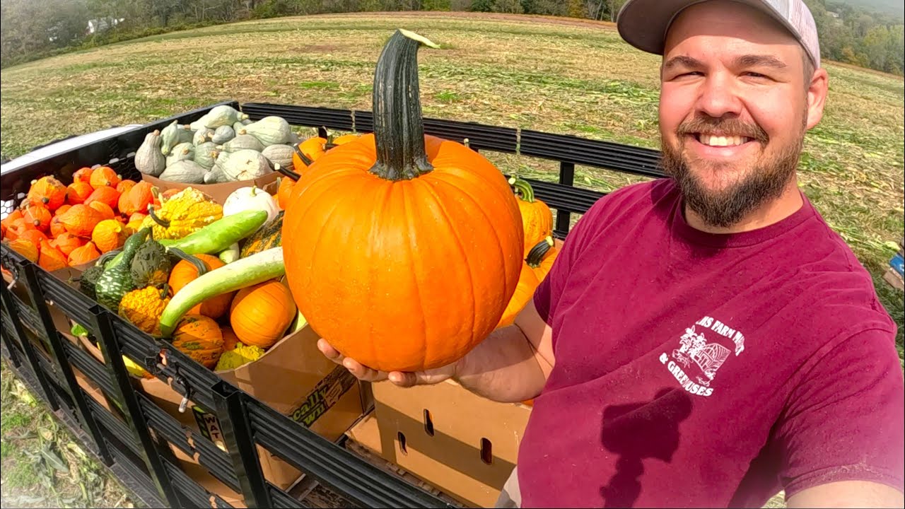 YouTube post by @theveggieboys for Ritual. Caption reads: New help means a BIGGER harvest.
