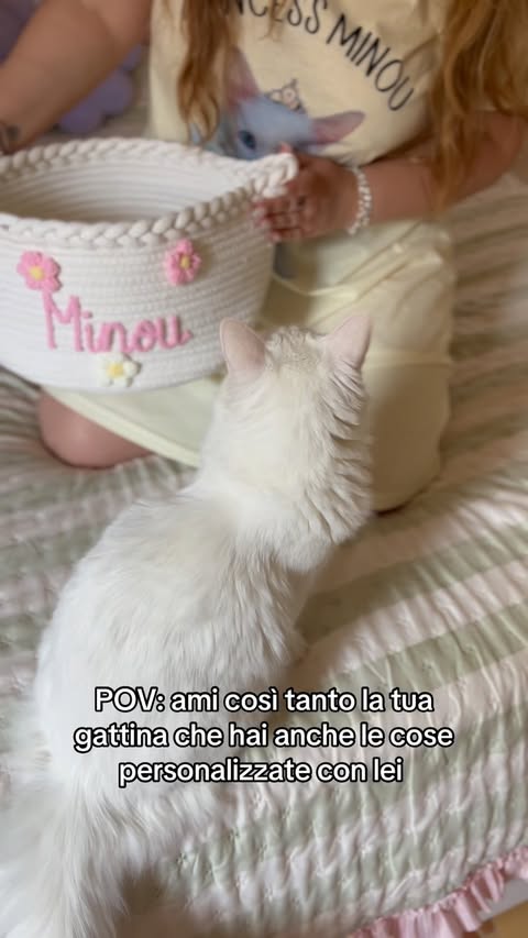 Instagram post by @minouthearistocat for Callie Gifts. Caption reads: [...] My discount code: luckya707 #giftedby....