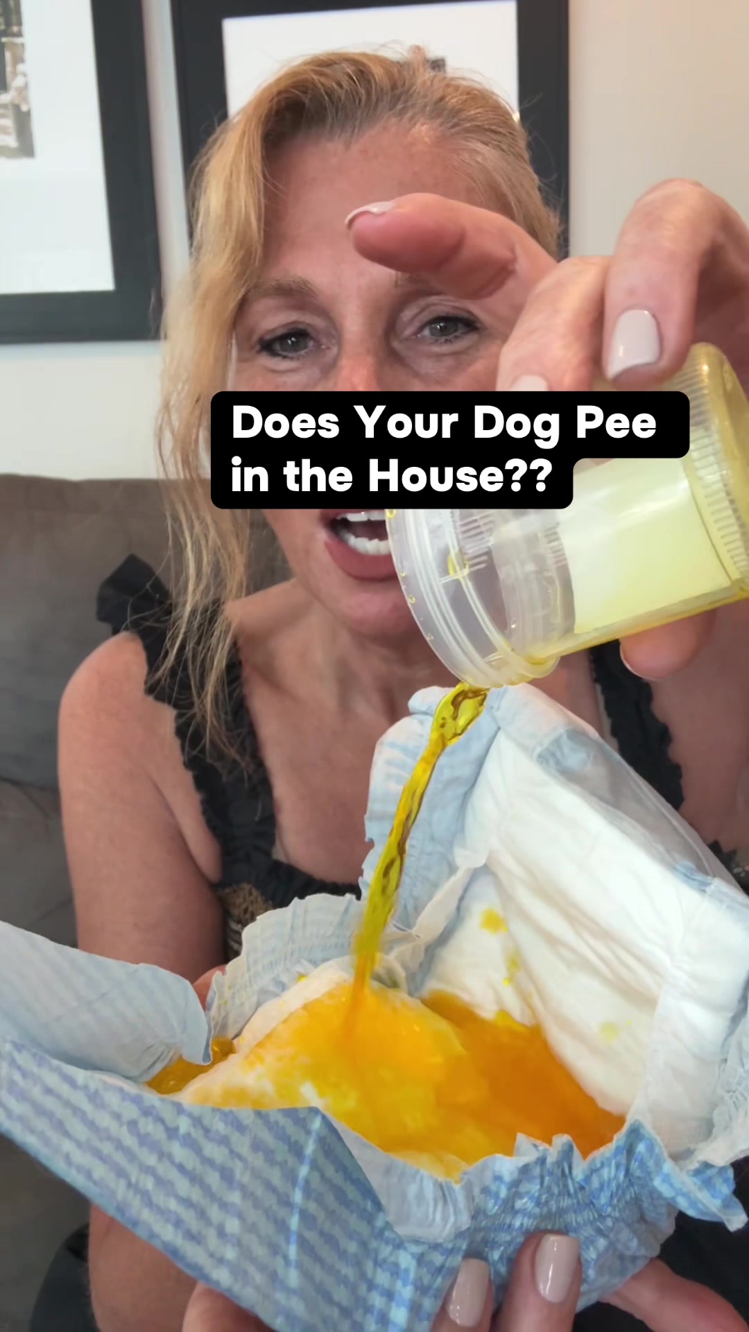 TikTok post by @kristas.kreations for HoneyCarePet. Caption reads: #creatorsearchinsights Putting absorbent....