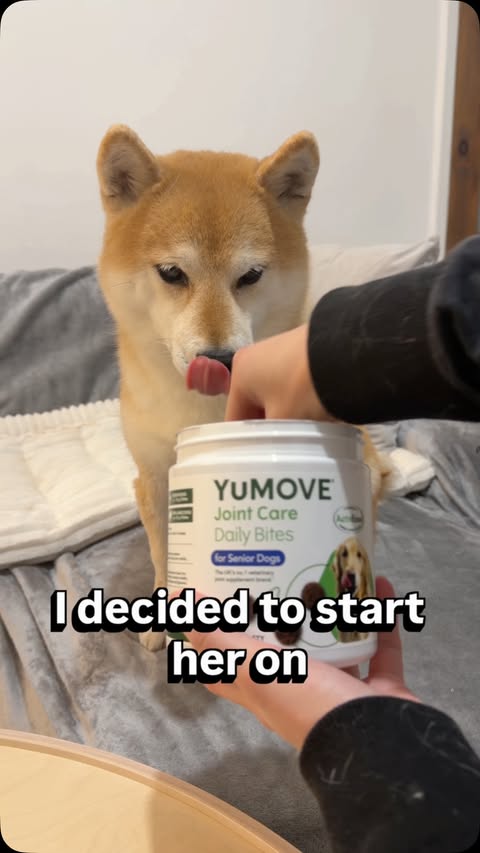 Instagram post by @inuharu0317 for YuMOVE. Caption reads: I started using YuMOVE Joint Care before I became....