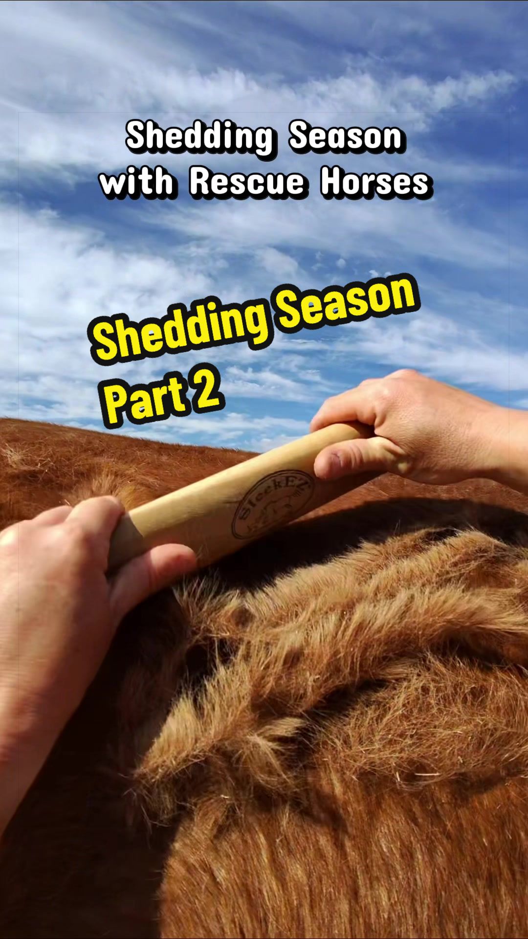 TikTok post by @daysendfarmhorserescue for SleekEZ. Caption reads: [...] Ask and you shall recieve!🐴 Brush: @SleekEZ....