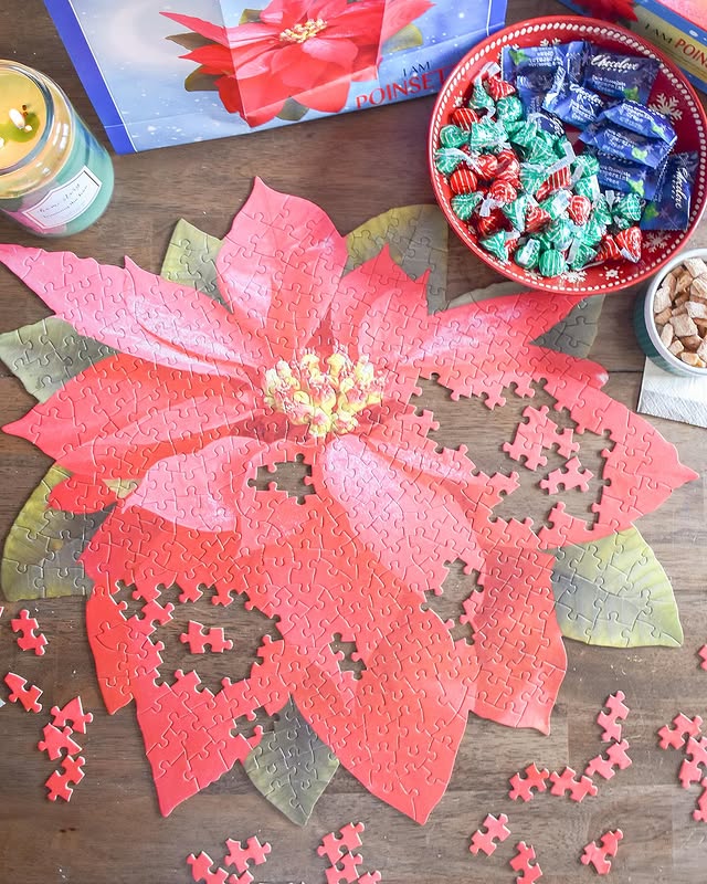 Instagram post by @alyssacherise for Ocean State Job Lot. Caption reads: our after school holiday fun is on poinsettia....