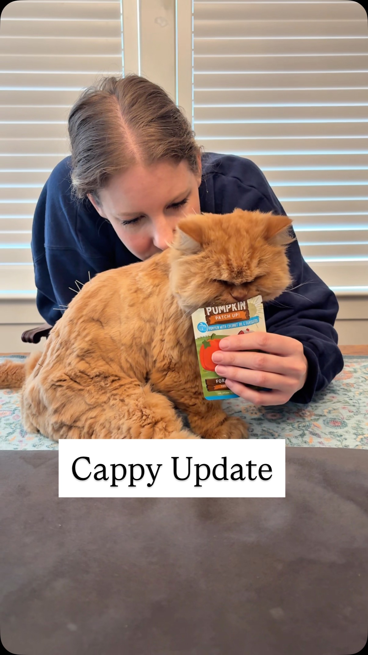 Instagram post by @cappybears for Weruva. Caption reads: Cappy update 🩵 Pumpkin care chats really out here....