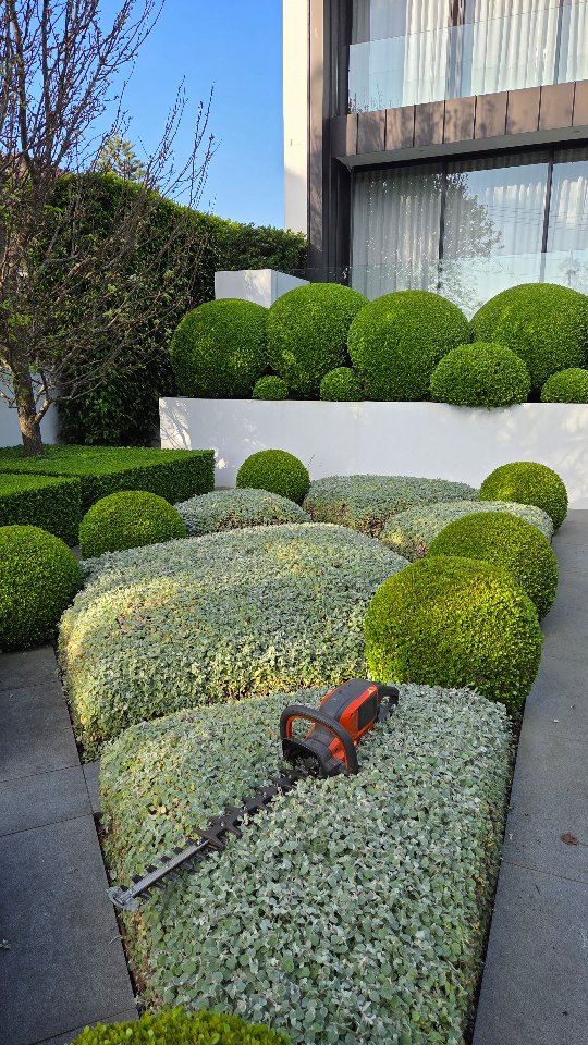 Instagram post by @southerncrossgardens for Husqvarna. Caption reads: Clipping Helichrysum pillows with the....