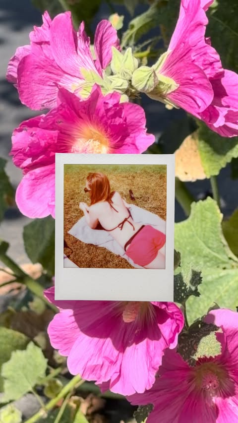Instagram post by @lolitaolympia for Polaroid. Caption reads: [...] for the little things. Using my @polaroid to....