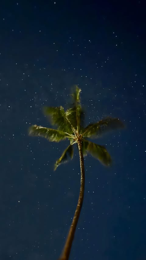 Instagram post by @happylostlife for Tessan. Caption reads: [...] Being invited to Las Vegas for CES with....