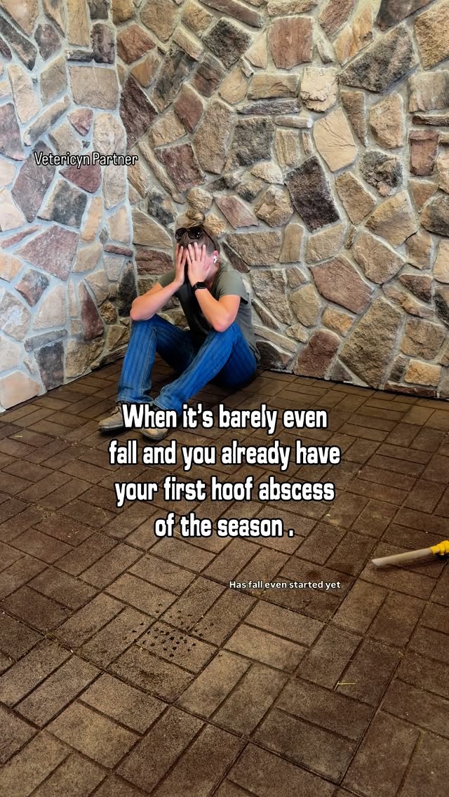 Instagram post by @doublezfarm for Vetericyn. Caption reads: #ad Fall is here, and so is abscess season! I’m....