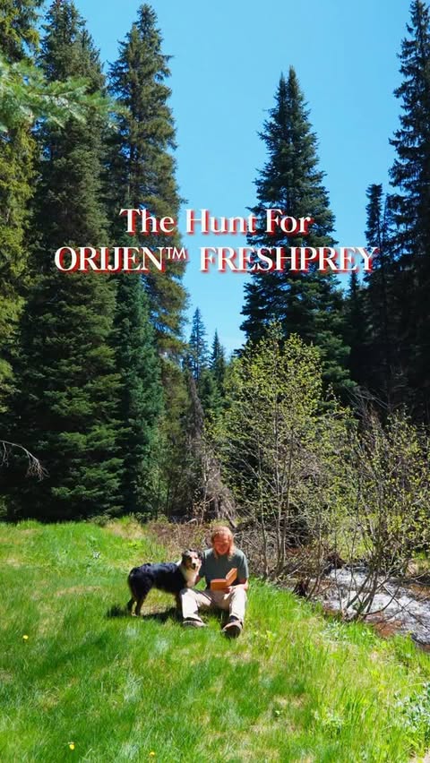 Instagram post by @tanner.price_ for ORIJEN Petfoods. Caption reads: The hunt for @orijenpetfood FRESHPREY! #ad....