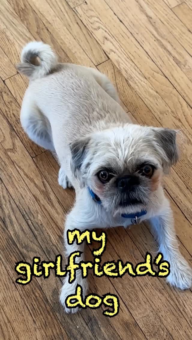 Instagram post by @jazzy__jelly for KAYAK. Caption reads: KAYAK 🤝 my girlfriend’s dog. Thanks @kayak for....