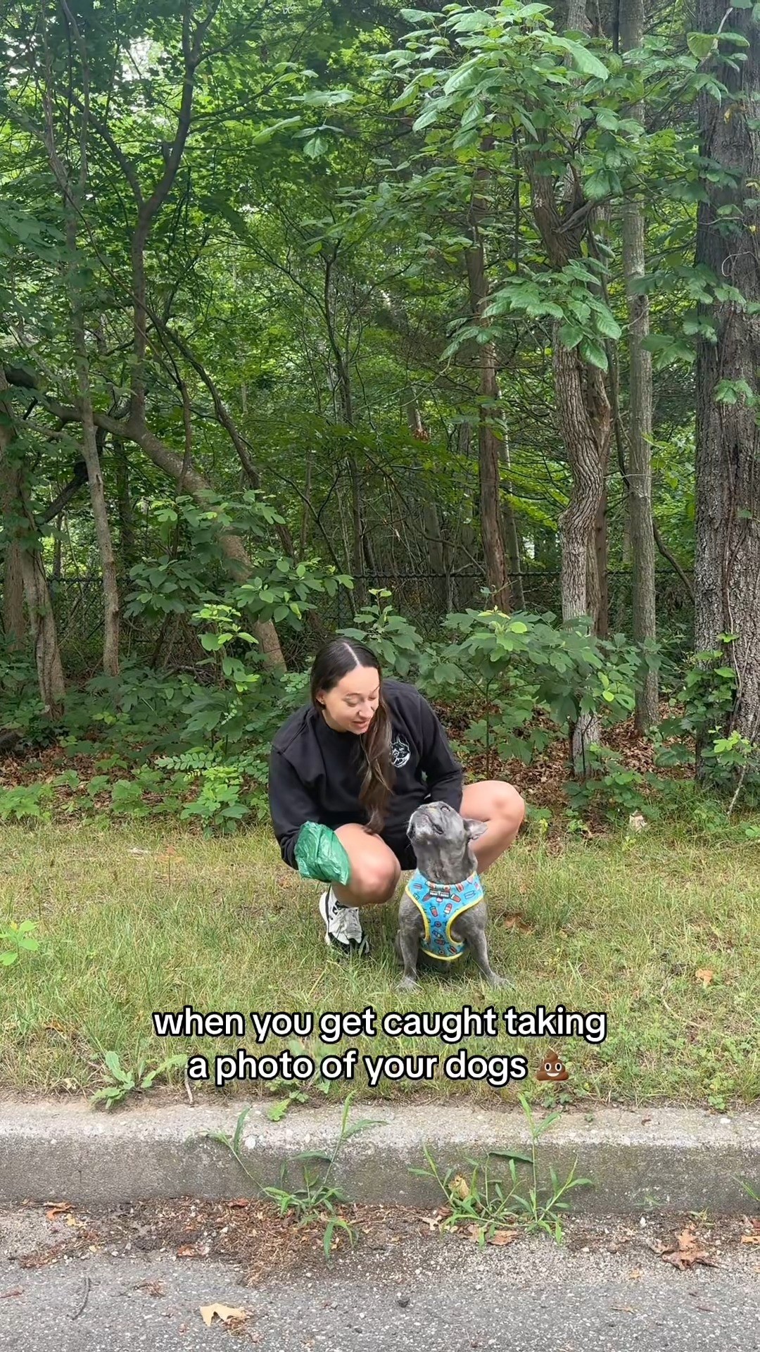 Instagram post by @winstonthefrenchiee_ for Ollie. Caption reads: Can confirm the Ollie Health team graded Winston's....