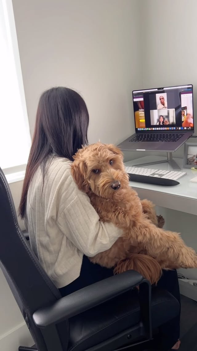 Instagram post by @hellopepperdood for Dutch. Caption reads: [...] the link in our bio for more details!....