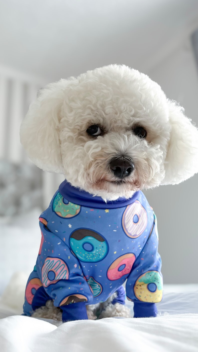 Instagram post by @loki_the_maltichon for Spark Paws. Caption reads: [...] Pjs from the fabulous @sparkpawsofficial 🏷️....