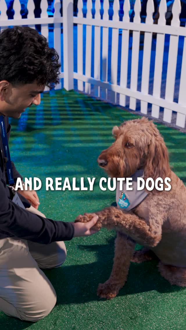 Instagram post by @mahadthementor for Dell Technologies. Caption reads: Flying cars, cute dogs, and Dell AI PCs. Yeah, I’d....