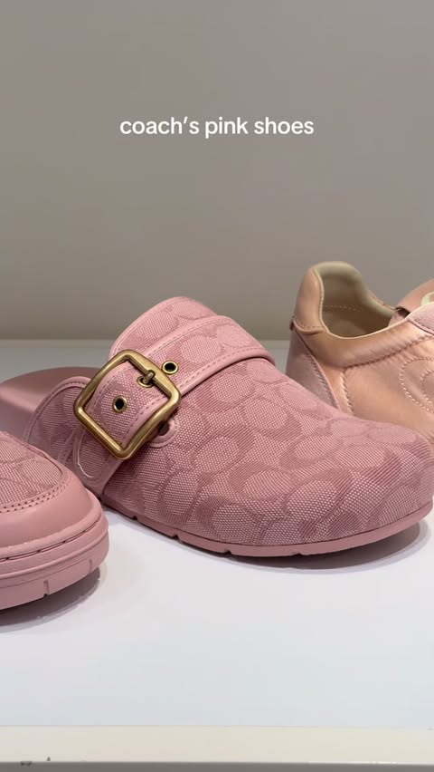 Instagram post by @katiemcev0y for Coach. Caption reads: #coachretailemployee #coachny soooo pretty 🩷....