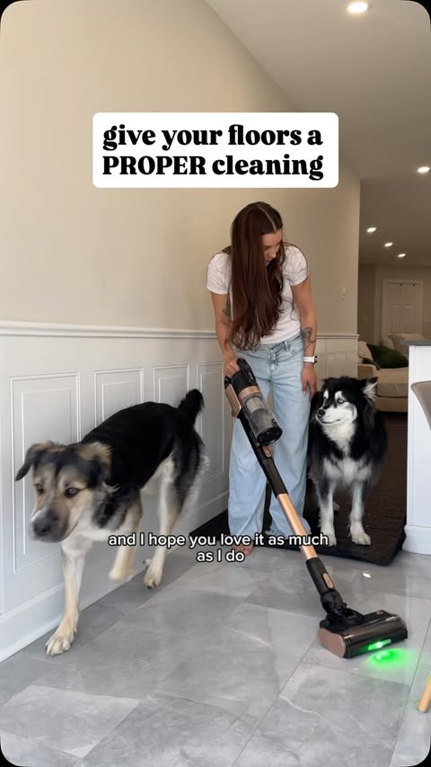 Instagram post by @levithehuskyrescue for Levoit. Caption reads: [...] bio and use my code CHLOEB for 10% off!....