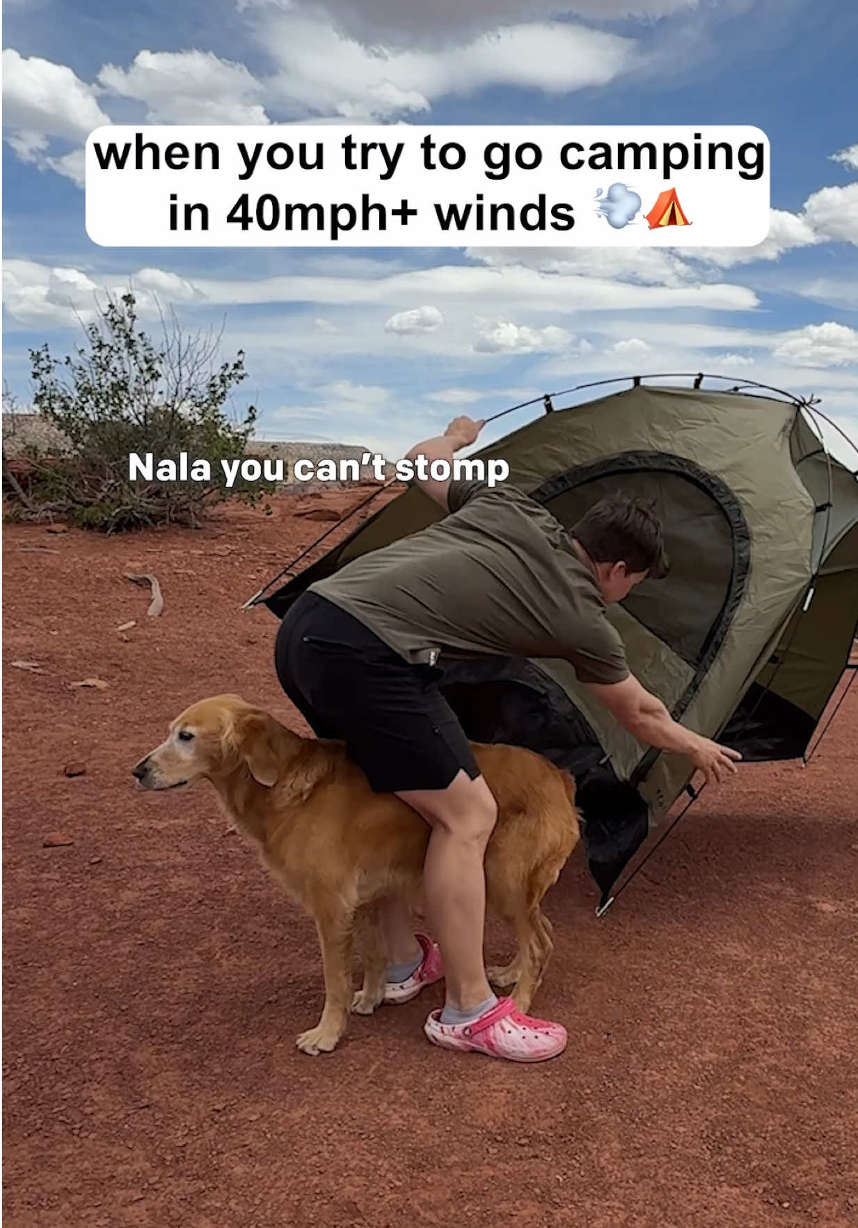 TikTok post by @adventuringwithnala for Tripadvisor. Caption reads: I would not suggest camping during a windstorm.....