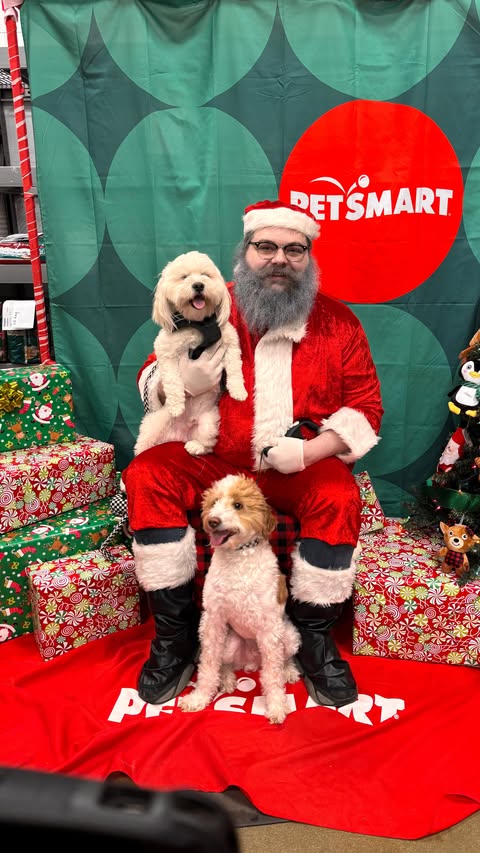 Instagram post by @mr.milobug for PetSmart. Caption reads: Which dog do you relate to more??😂

#puppy....