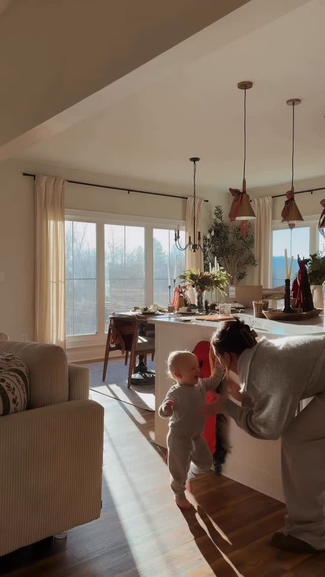 Instagram post by @emilyharrisking for Litter-Robot. Caption reads: [...] quietly make everyday life easier.....