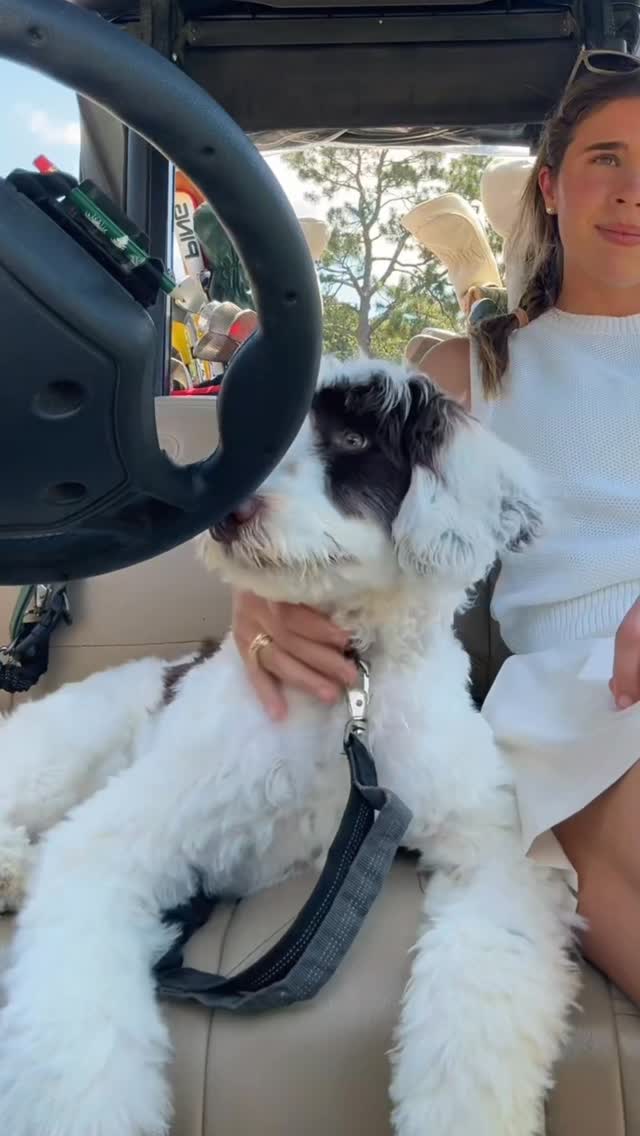 Instagram post by @haley_mccartney for Greenies. Caption reads: At least one of us has a reason to smile today....