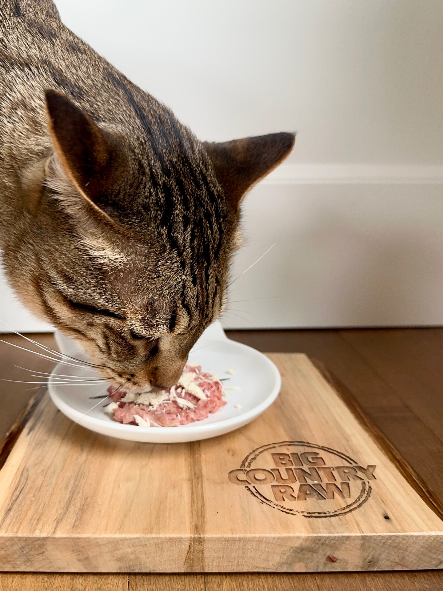 Instagram post by @dexterboycat for BIG COUNTRY RAW. Caption reads: Another day, another simple, nutritious meal from....