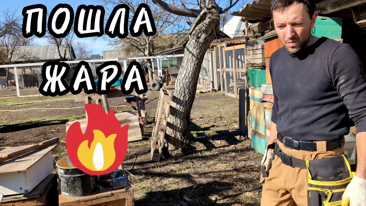 YouTube post by @semyanapozitive for Музей Восстания Машин Москва. Caption reads: ⚫ LIFE ON LAND: Decluttering the Plot and [...].