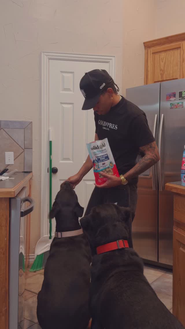 Instagram post by @kenw for Solid Gold Pet. Caption reads: [...] enough of it 🥹⚡️

#explorepage #ad....