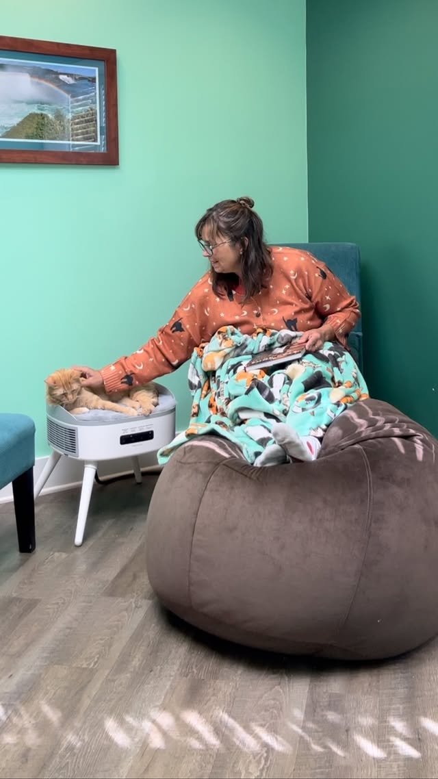 Instagram post by @truffles_the_kitty for Homerunpet. Caption reads: [...] a special gift for my furriends from....