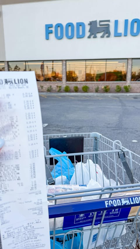 Instagram post by @andreagabrielllee for Food Lion. Caption reads: [...] products at a great value. 

Between Food....