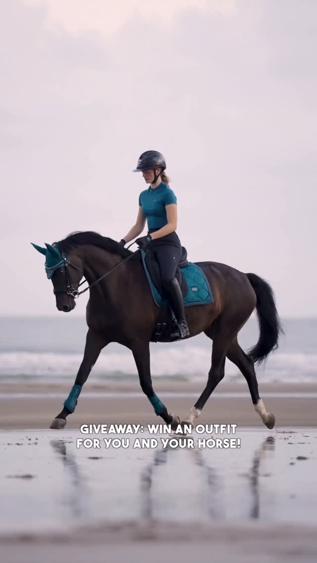 Instagram post by @mathilde_et_sligo for EQUESTRIAN STOCKHOLM. Caption reads: [...] 🙌🏻 GIVEAWAY TIME ✨ with Equestrian....