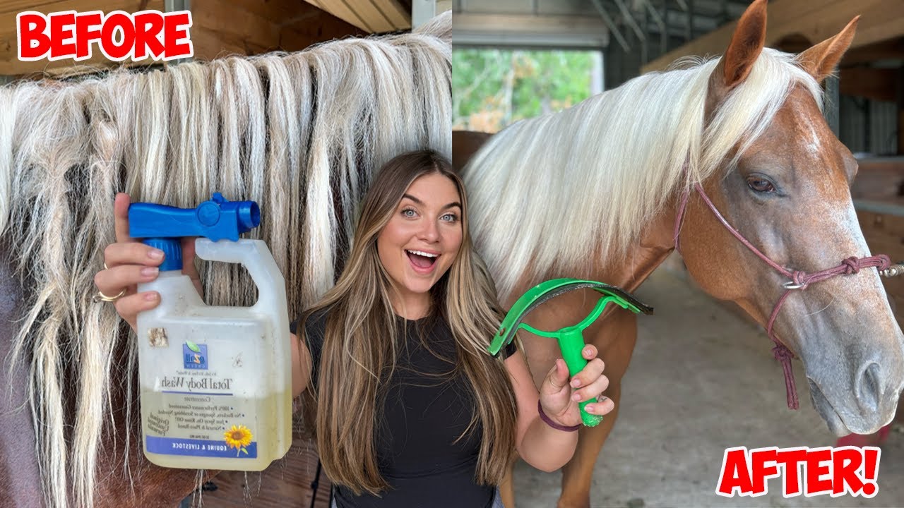 YouTube post by @StephanieMoratto for Corro Shop. Caption reads: GIVING MY NEW HORSE A MAKEOVER  *SATISFYING*.