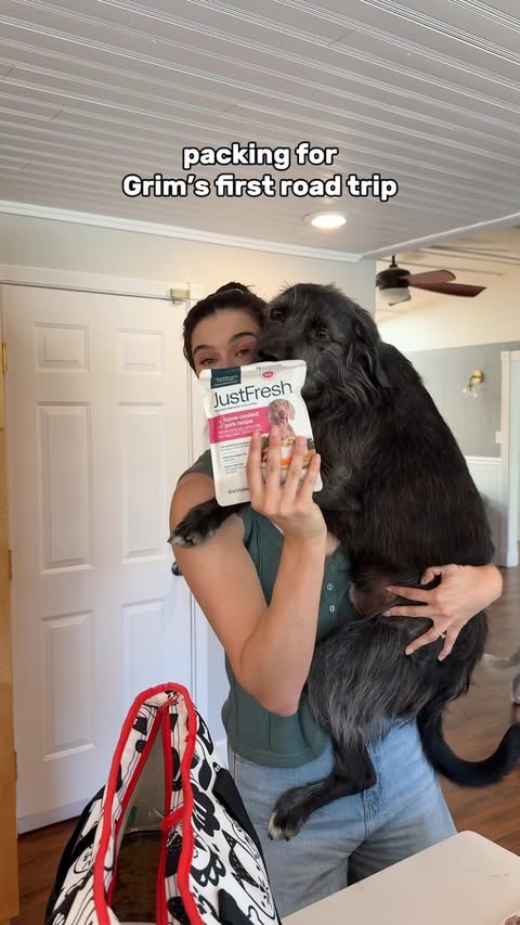 Instagram post by @scrubhacks for JustFoodforDogs. Caption reads: If you wanna try @justfoodfordogs you can get 60%....