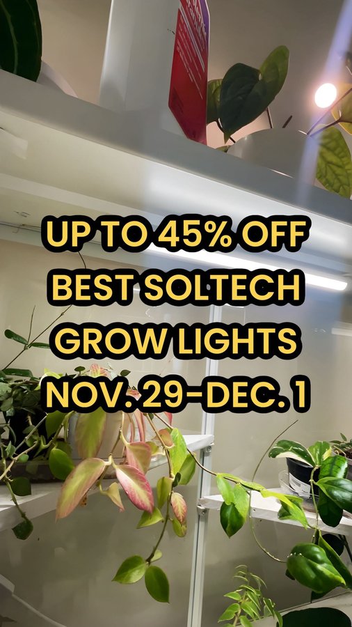 Instagram post by @lifewithashleyanita for Soltech. Caption reads: [...] SALE ALERT! 🚨 My all-time favorite @soltech....