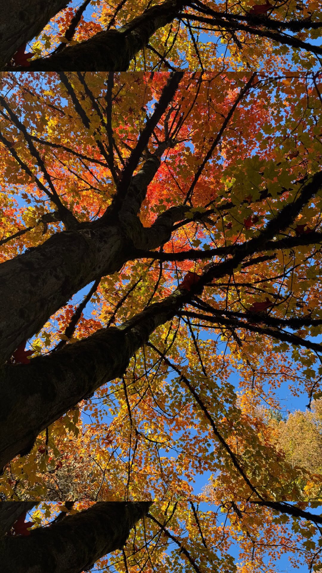 Instagram post by @crosbaaaby for Beginning Boutique. Caption reads: Everyone needs a classic white sweater in their....