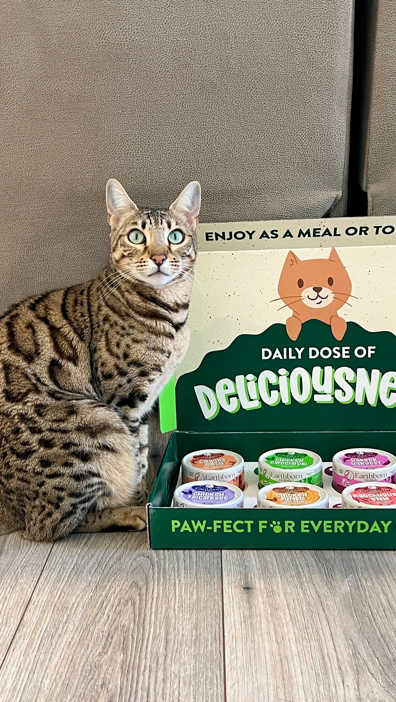 Instagram post by @manduthebengalcat for Earthborn Holistic Pet Food. Caption reads: #sponsored // Diversifying Mandu’s diet is a....