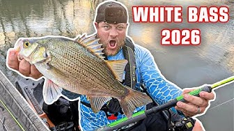 YouTube post by @903fishing for Piscifun. Caption reads: CRAPPIE TRIP TURNED INTO A WHITE BASS BEATDOWN‼️....