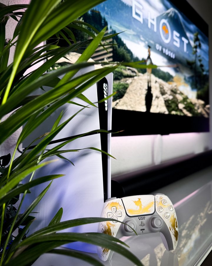 Instagram post by @neverskipagamergirl for PlayStation DACH. Caption reads: It's finally Friday what means we can all play....