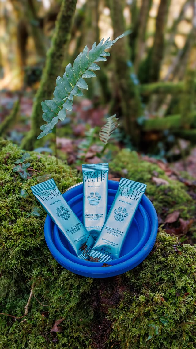 Instagram post by @ottothe.cocker for Pawer Water. Caption reads: We’ve been using @pawerwater for Otto and honestly....