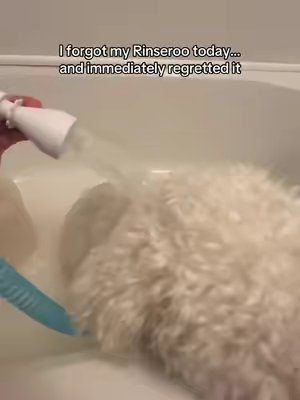 TikTok post by @wendy.bee_l for Rinseroo. Caption reads: [...] way to rinse your dog at home! 🐶💦....
