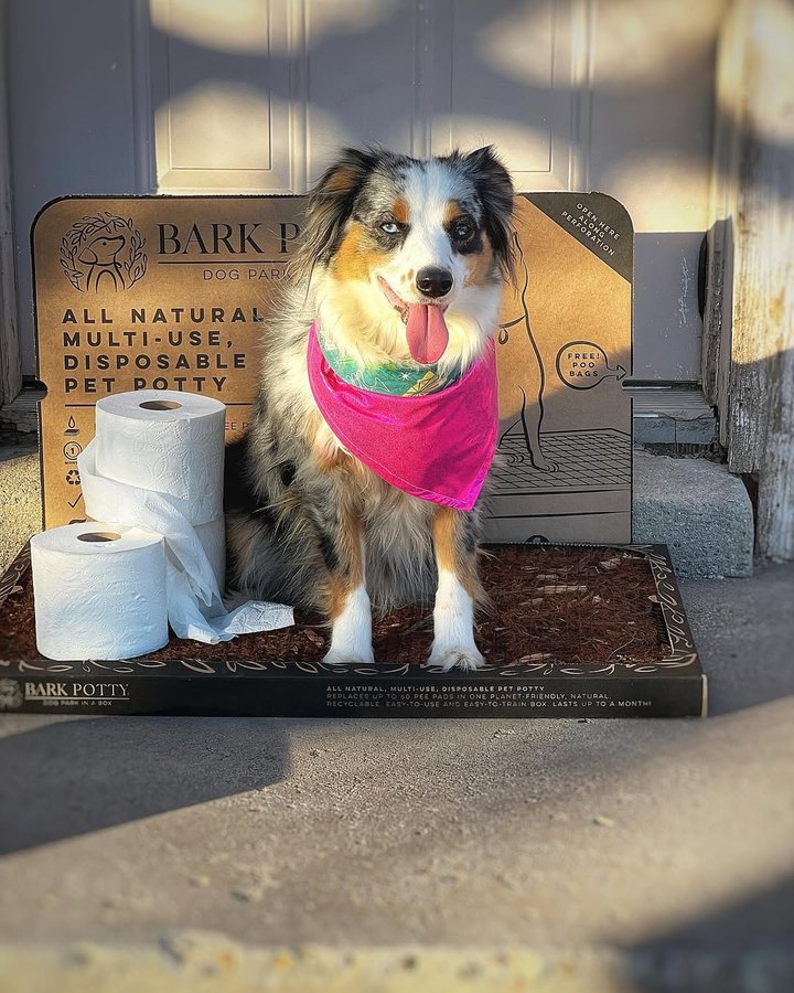 Instagram post by @lifeplusdogs for Bark Potty. Caption reads: [...] our carbon footprint! Our friends at....