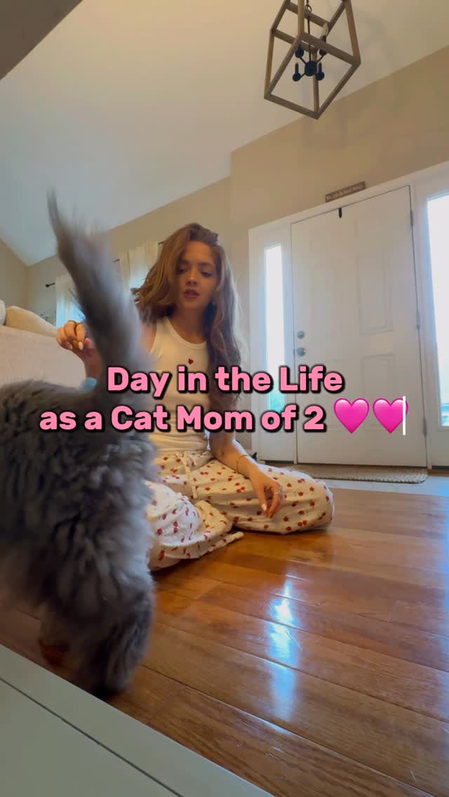 Instagram post by @oliviakingmusic for Prettylitter. Caption reads: Day in the Life of a Cat Momma of 2 <3....