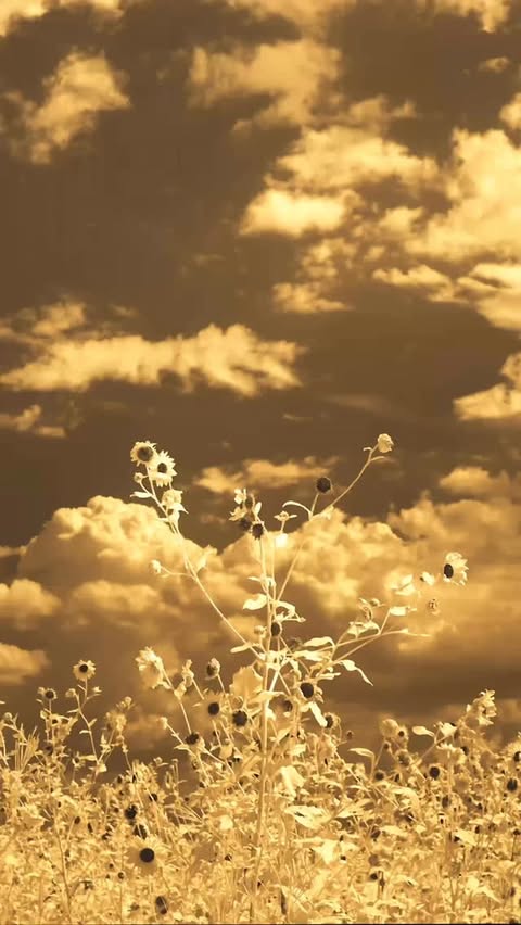 Instagram post by @jacob_lofland for BFGoodrich Tires. Caption reads: Landman is back and I can’t wait to see where this....