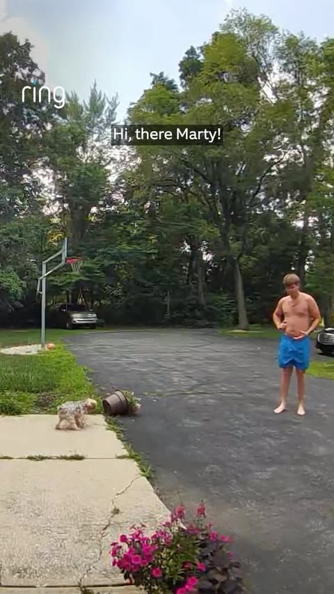 Instagram post by @goodnews_movement for Ring. Caption reads: [...] and ran into the flower pot 🥹🐶 ❤️ @ring....