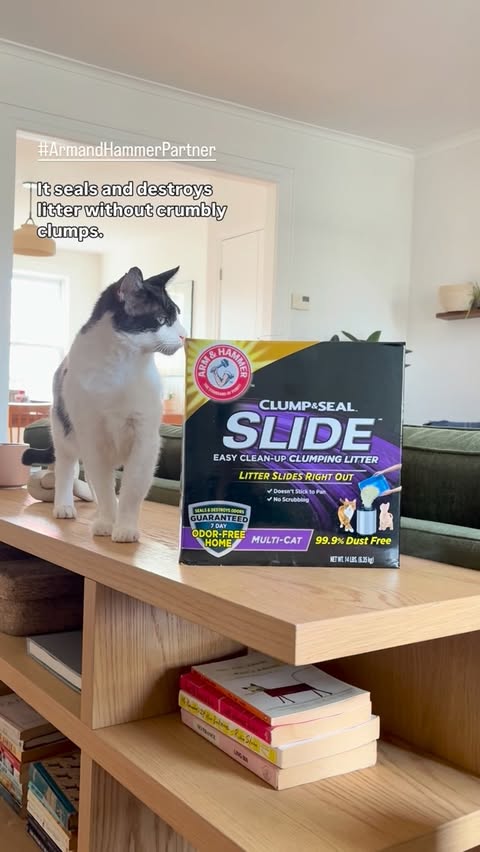 Instagram post by @heidiwranglescats for ARM and HAMMER. Caption reads: The joy of foster cats, without the smell of....